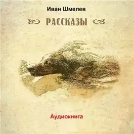 Обложка книги Последний выстрел