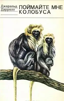 Обложка книги Поймайте мне колобуса