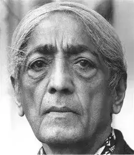 Обложка книги Видеть факты