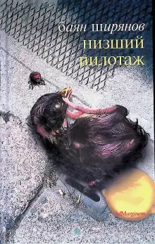 Обложка книги Низший пилотаж