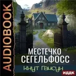 Обложка книги Местечко Сегельфосс