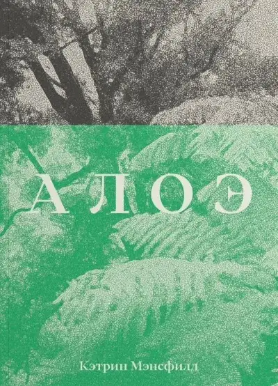 Обложка книги Алоэ
