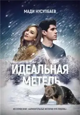 Обложка книги Идеальная метель