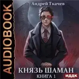 Обложка книги Князь шаман. Книга 1