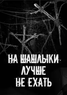 Обложка книги На шашлыки лучше не ехать!