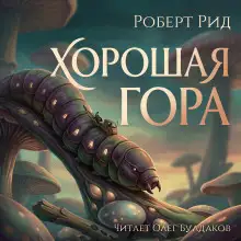 Обложка книги Хорошая гора