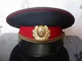 Обложка книги ИВС