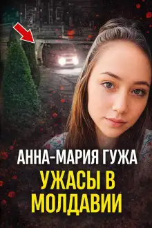 Обложка книги Последняя поездка домой