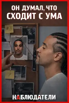 Обложка книги Двойник за решёткой