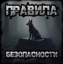 Обложка книги Правила безопасности