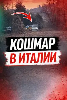 Обложка книги Чемодан среди леса