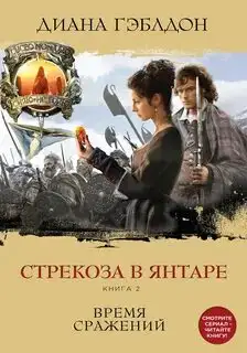Обложка книги Стрекоза в янтаре (Книга 2). Чужестранка 03