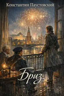 Обложка книги Бриз