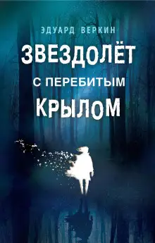 Обложка книги Звездолёт с перебитым крылом