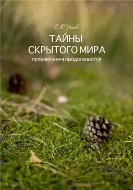 Обложка книги Тайны скрытого мира. Приключения продолжаются