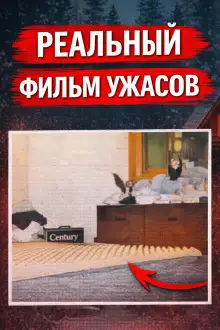 Обложка книги Восемь лет без ответа