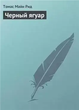Обложка книги Черный ягуар