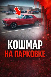 Обложка книги 34 года поиска