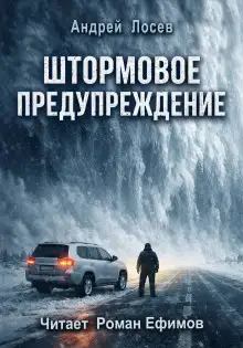 Обложка книги Штормовое предупреждение
