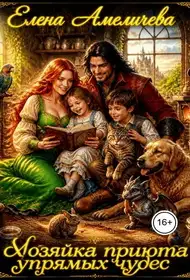 Обложка книги Хозяйка приюта упрямых чудес
