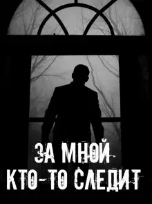 Обложка книги За мной кто-то следит