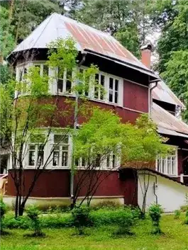 Обложка книги Переделкинский пенал. Дачная жизнь Корнея Чуковского