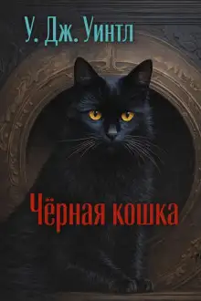 Обложка книги Чёрная кошка