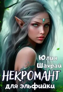 Обложка книги Некромант для эльфийки