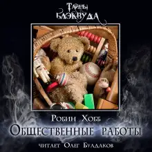 Обложка книги Общественные работы