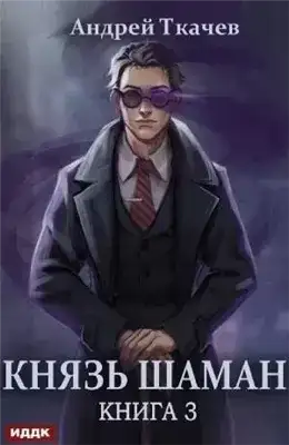Обложка книги Князь шаман. Книга 3