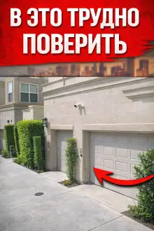 Обложка книги Ложные угрозы любви