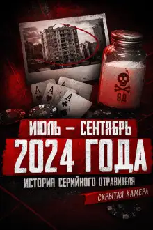 Обложка книги Карусель безумия