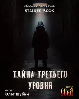 Обложка книги Тайна третьего уровня