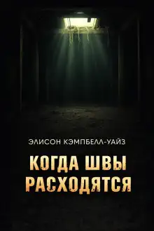 Обложка книги Когда швы расходятся