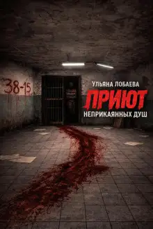 Обложка книги Приют неприкаянных душ