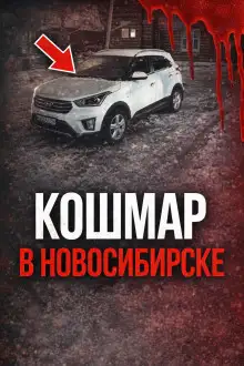 Обложка книги Поехала на сделку и исчезла