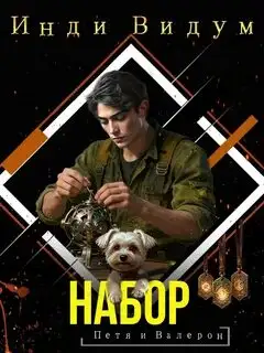 Обложка книги Петя и Валерон. Набор (Книга 6)