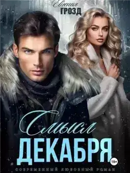 Обложка книги Смысл декабря