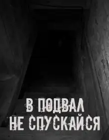 Обложка книги В подвал не спускайся