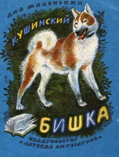 Обложка книги Бишка