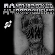 Обложка книги До человеческого воплощения