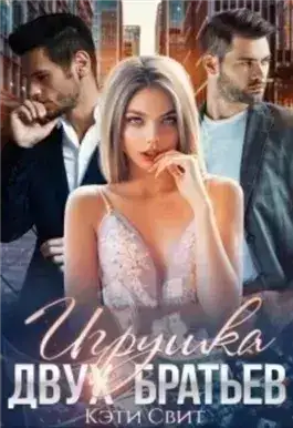 Обложка книги Игрушка двух братьев