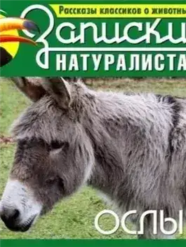 Обложка книги Рассказы классиков о животных. Ослы