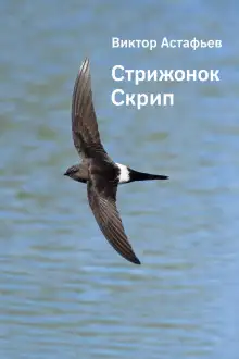 Обложка книги Стрижонок Скрип