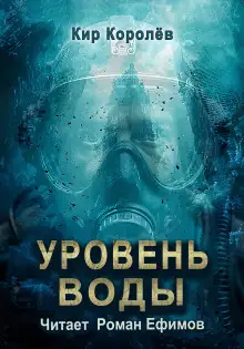 Обложка книги Уровень воды