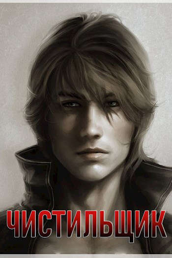 Обложка книги Чистильщик