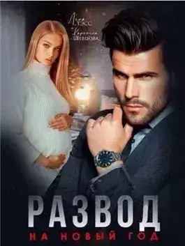 Обложка книги Развод на новый год