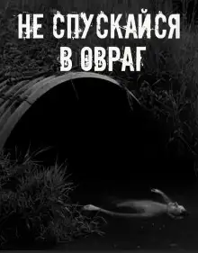 Обложка книги Не спускайся в овраг