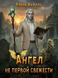 Обложка книги Ангел не первой свежести