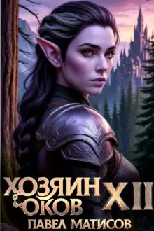 Обложка книги Хозяин Оков XII
